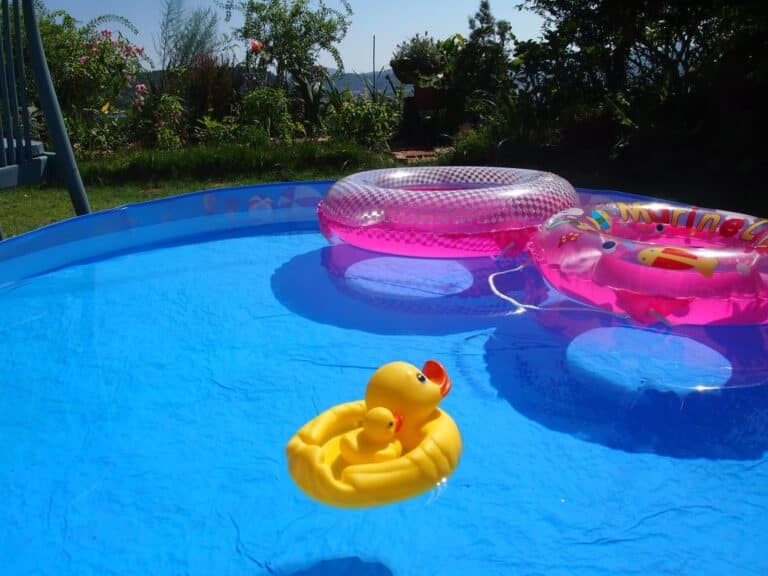 Regalos acuáticos ideales: