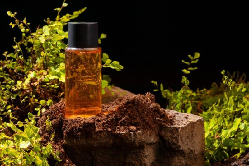 fragancias 006 fragancias frescas