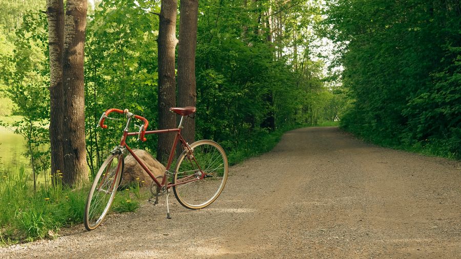bicicleta grava vintage sendero forestal 1 Bicicleta de grava vintage en sendero forestal