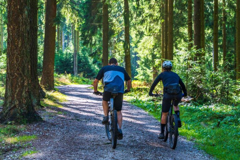 Ciclismo de montaña en senderos forestales