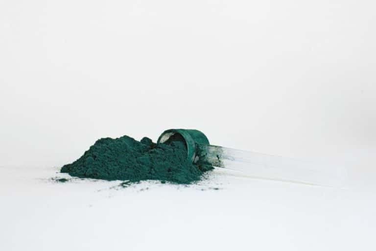 Spirulina en polvo para proteína vegana deportiva
