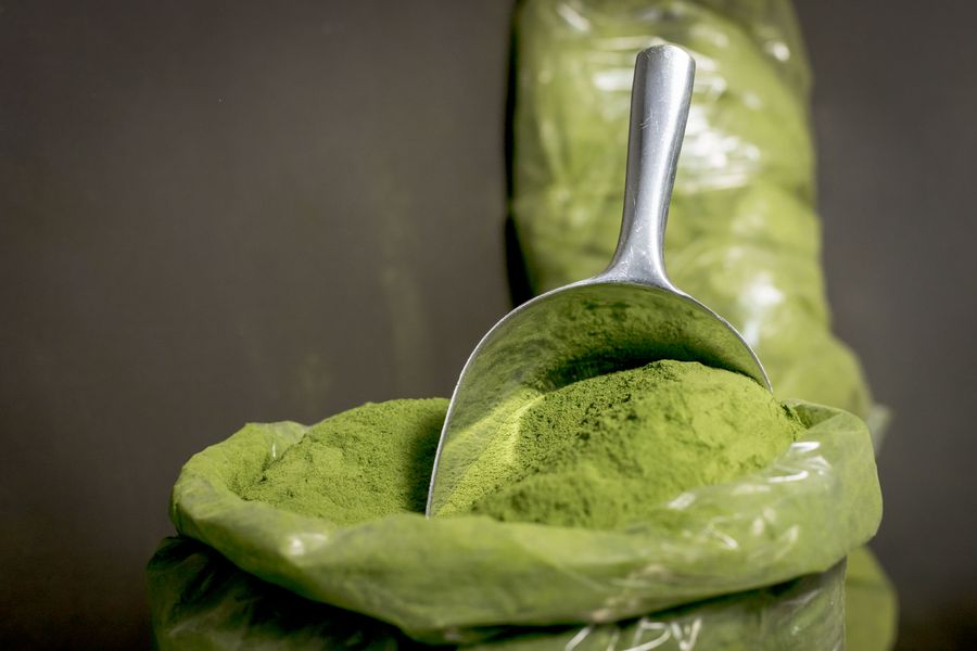 polvo moringa proteina vegana 2 Polvo de moringa para proteína vegana